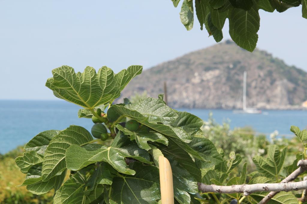 Hotel Maronti Barano dʼIschia Esterno foto